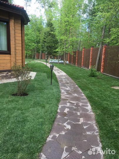 Рулонный газон, укладка, продажа