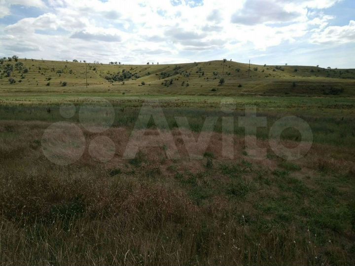 Участок 4 га (СНТ, ДНП)