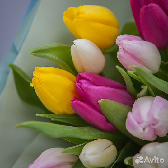 Букет 15 тюльпанов микс - Корпоративный, цветы дос