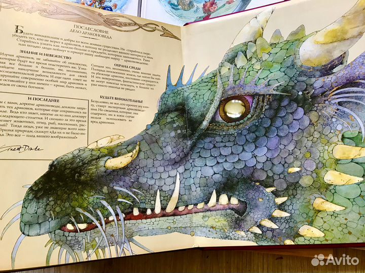 Драконоведение, Чевостик, В мире жуков, Балет