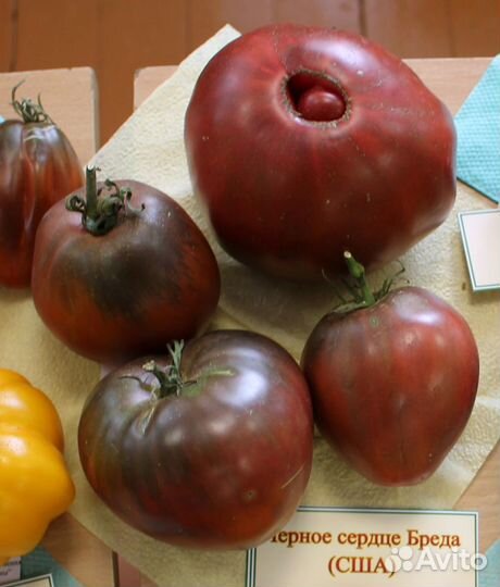 Семена томатов