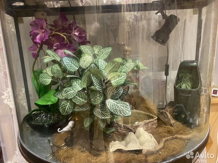Террариум/аквариум