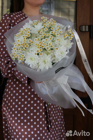Полевые ромашки
