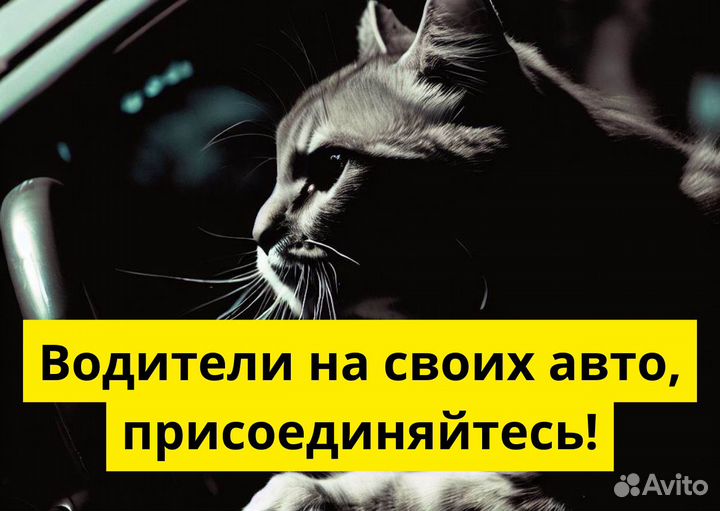 Личный автомобиль и работа в Яндекс.Go