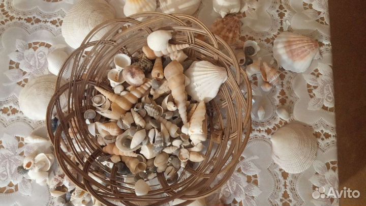 Ракушки для рукоделия