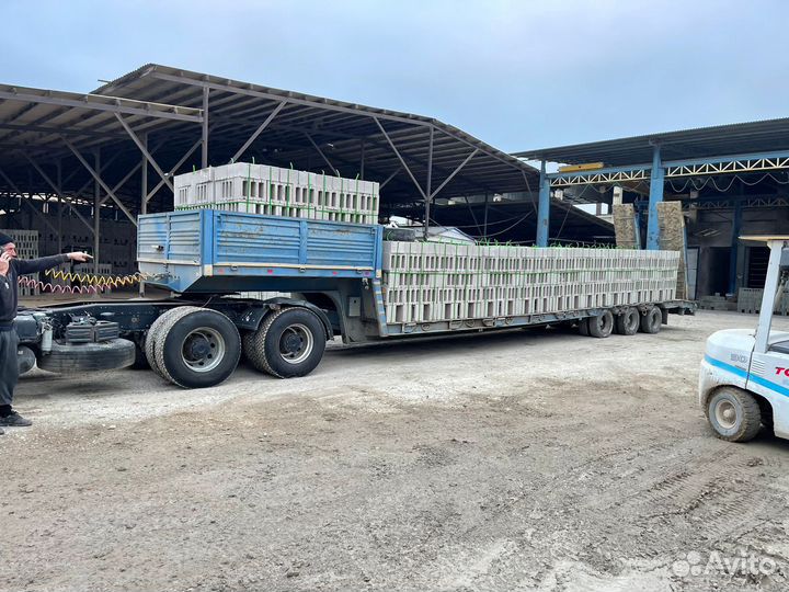 Пеплоблоки блоки 30х40