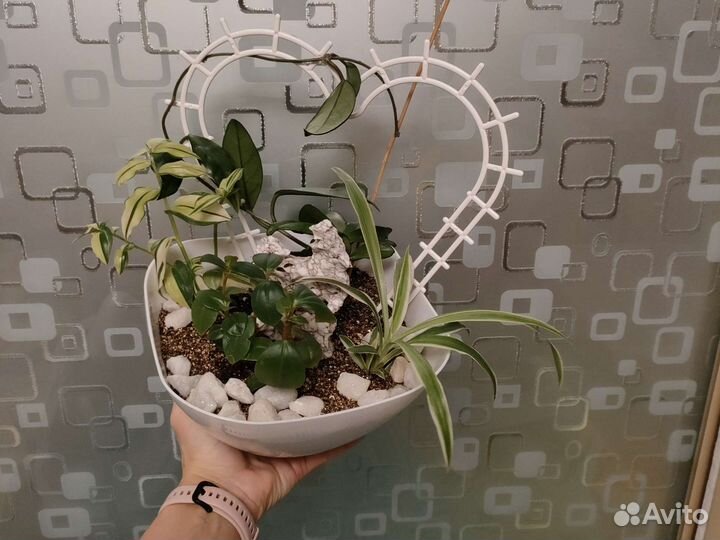 Цветочная композиция