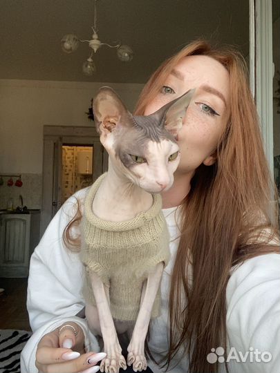 Передержка животных