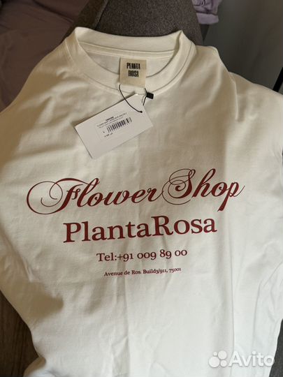 Planta rosa лонгслив