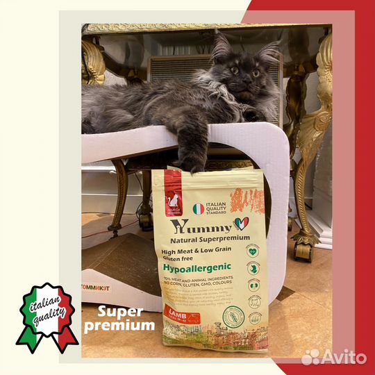 Корм Суперпремиум класса для собак и кошек