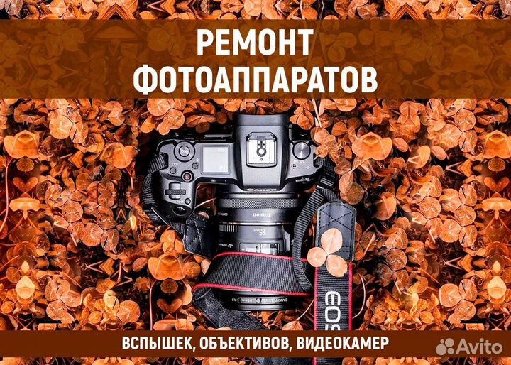 Ремонт фотоаппаратов, вспышек, объективов