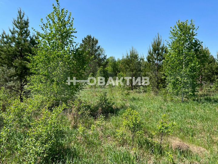 Участок 4 сот. (СНТ, ДНП)