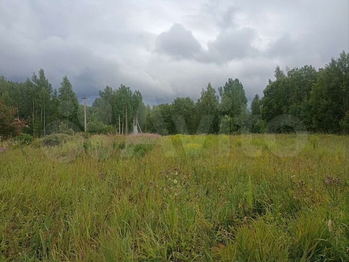 Участок 11 сот. (СНТ, ДНП)