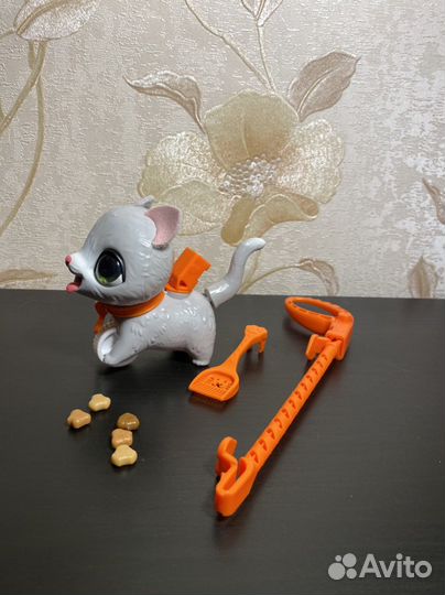 Котенок на поводке