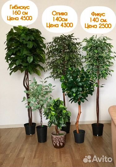 Искусственное дерево Фикус