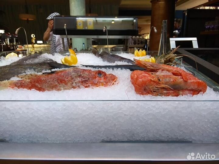 Витрина для охлажденной рыбы