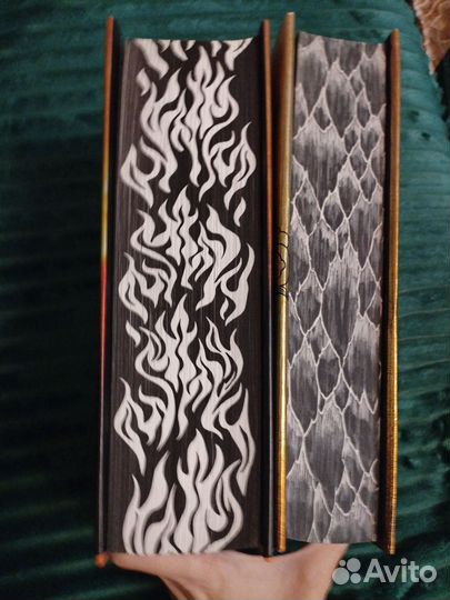 Четвертое крыло и железное пламя