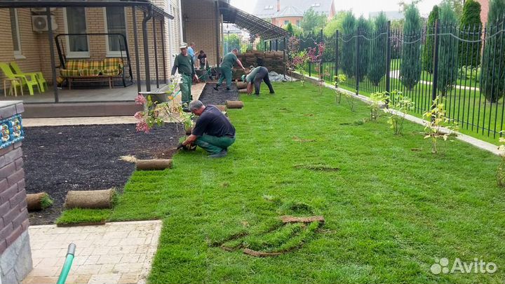 Рулонные газоны от производителя