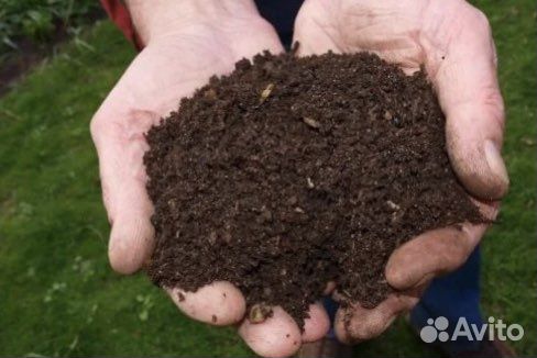Земля чернозем, перегной