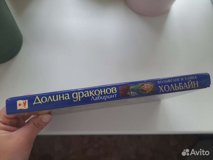 Долина драконов. Лабиринт (Хольбайн)