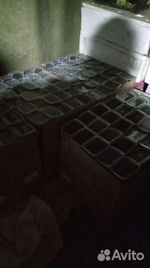 Охота и рыбалка