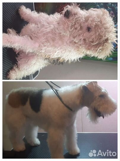 Груминг собак и не агрессивных кошек