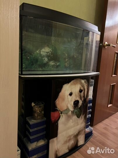 Аквариум с тумбой большой черный