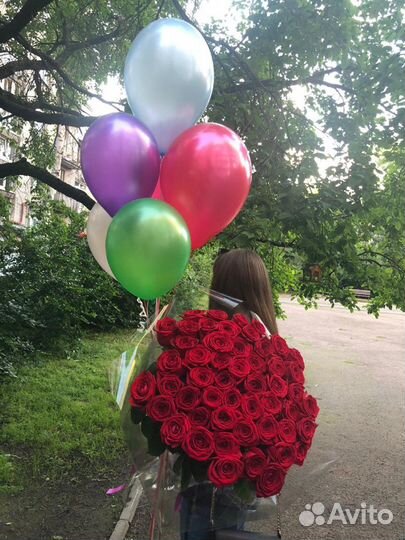 Розы 51 штука