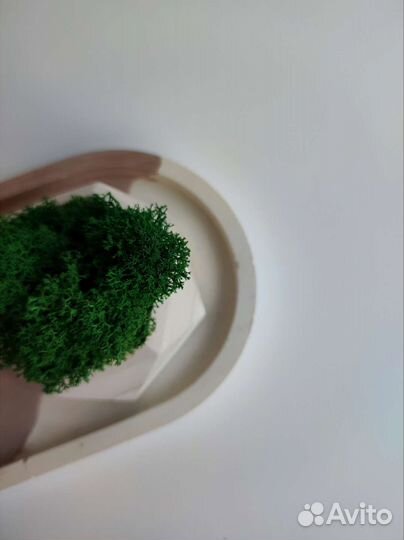 Кашпо с стабилизированным мхом и подносом