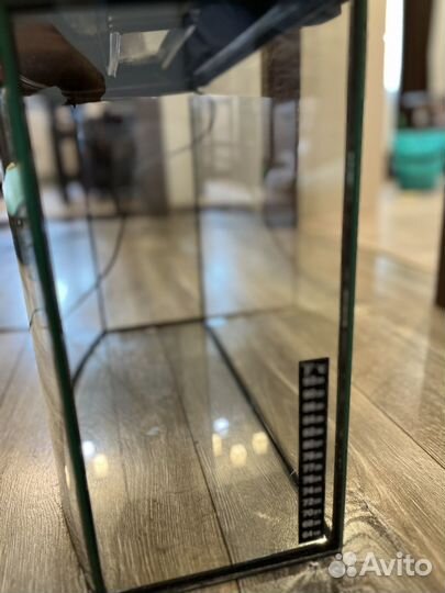 Аквариум телевизор