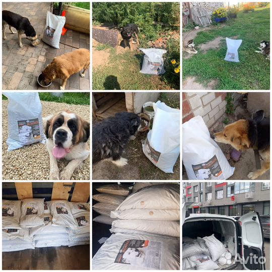 Корм для собак крупных и средних пород