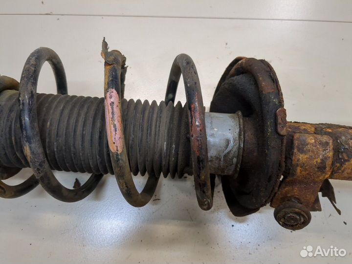 Амортизатор подвески Ford Focus 2, 2006