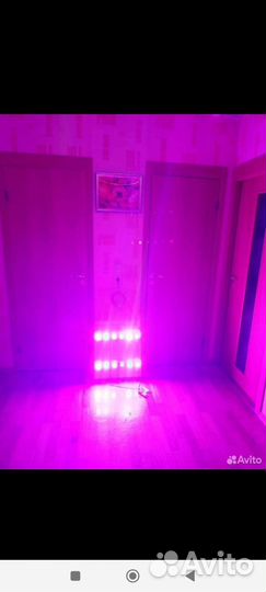 Фитосветильник