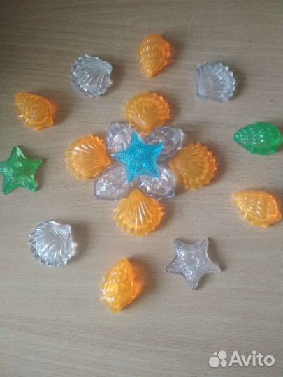 Морские ракушки