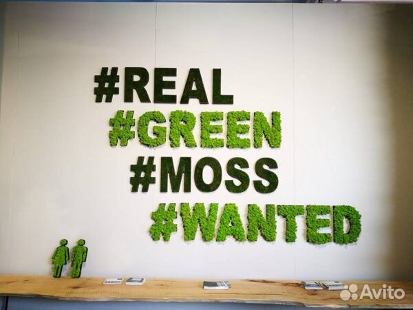 Логотип из мха без растений