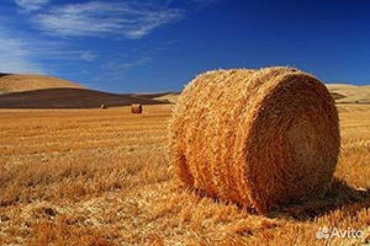Солома в рулонах