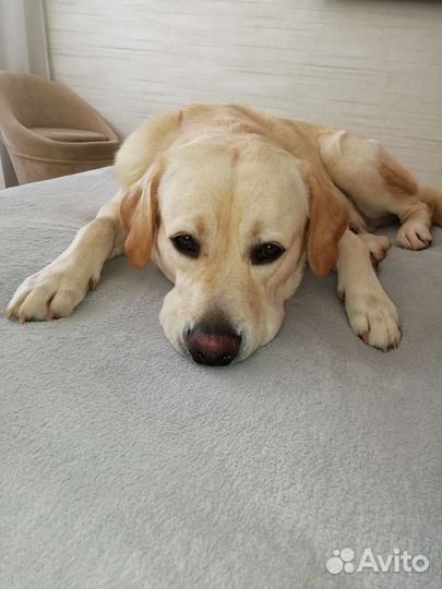 Кабель для вязки