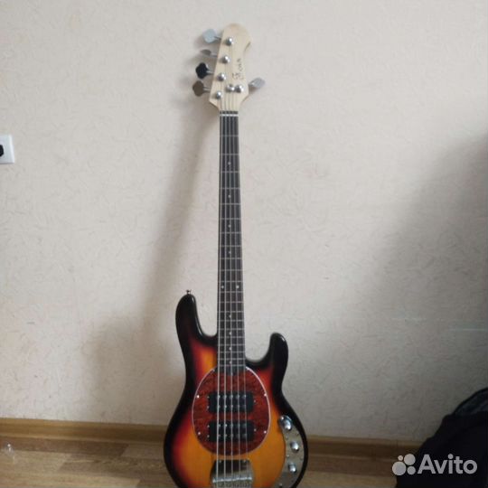 5 струнная бас гитара