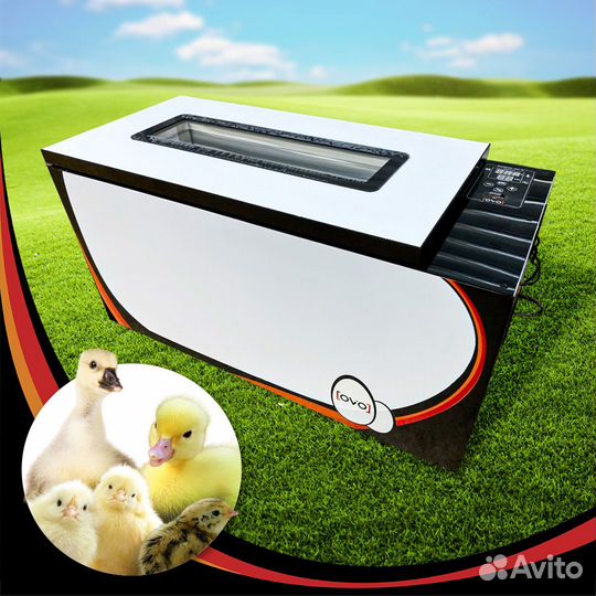 Инкубатор для яиц автоматический OVO-78
