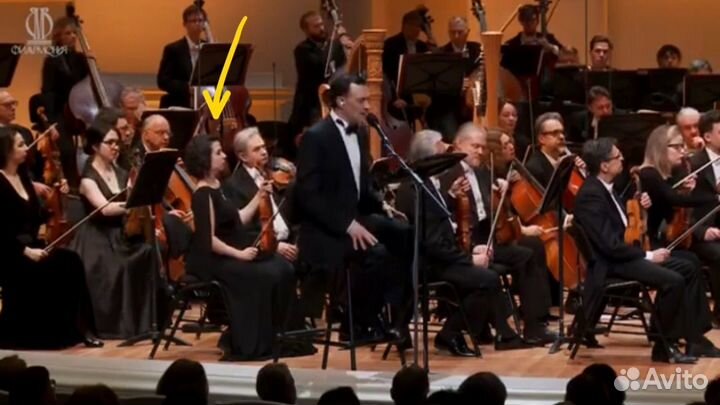 Педагог репетитор по скрипке