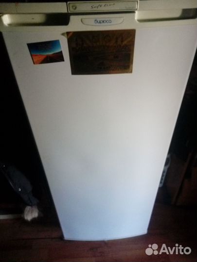 Холодильник бирюса