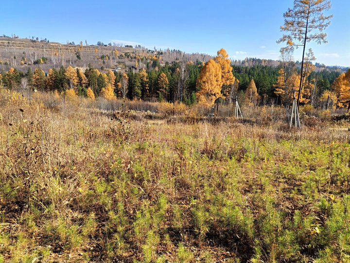 Участок 22 сот. (ИЖС)