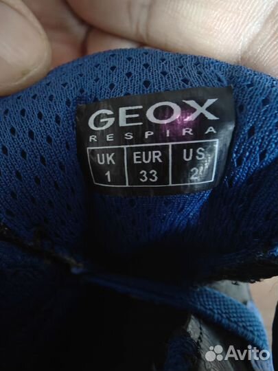 Кроссовки Geox J Argonat Boy