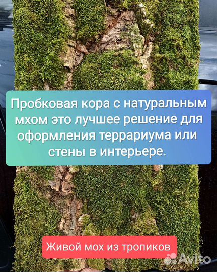 Фон для террариума, пробковая кора, орхидариум