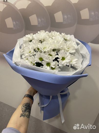 Хризантема ромашка букет подарок живые цветы