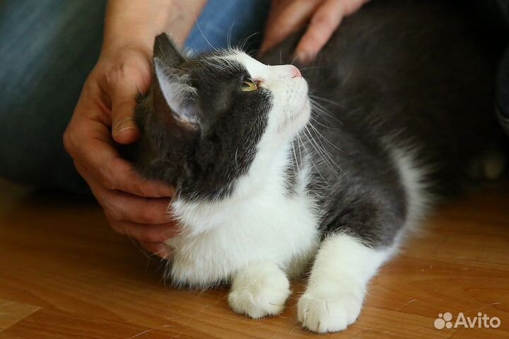 Марта очень хочет домой