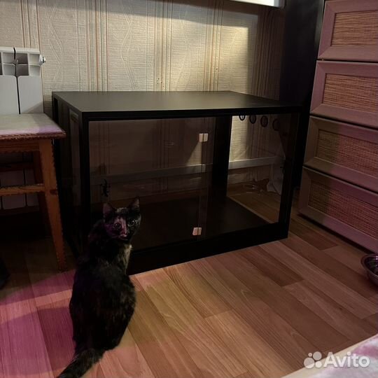 Террариум для рептилий новый (обмен)