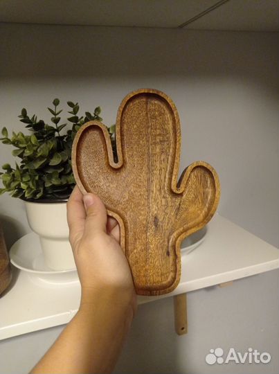 Кактус из дерева манго HM Home