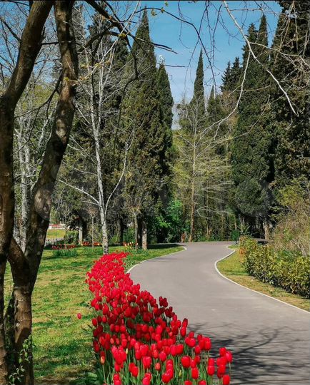 Квартира-студия, 22,3 м², 14/18 эт.