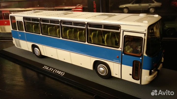 Ikarus 256.54, Ikarus 256.51, Ikarus 250.59